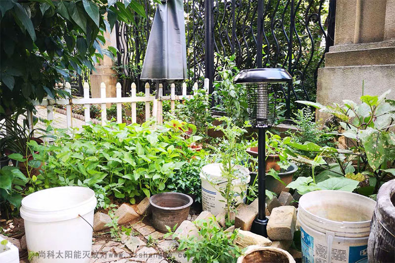 戶外滅蚊親測：滅蚊燈效果怎么樣？到底有用嗎